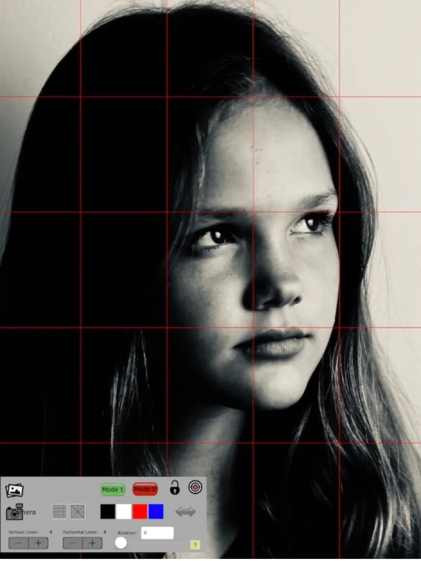 Een portret tekenen met de rastermethode op een referentiefoto